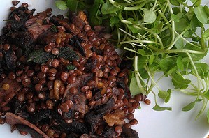 Lentils with Mushroom & Bacon
